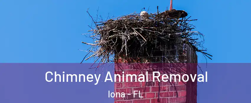  Chimney Animal Removal Iona - FL