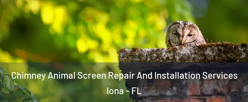  Chimney Animal Screen Repair And Installation Services Iona - FL