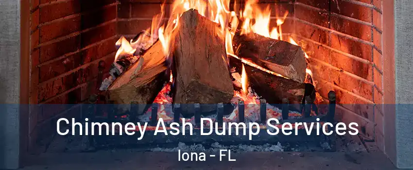  Chimney Ash Dump Services Iona - FL