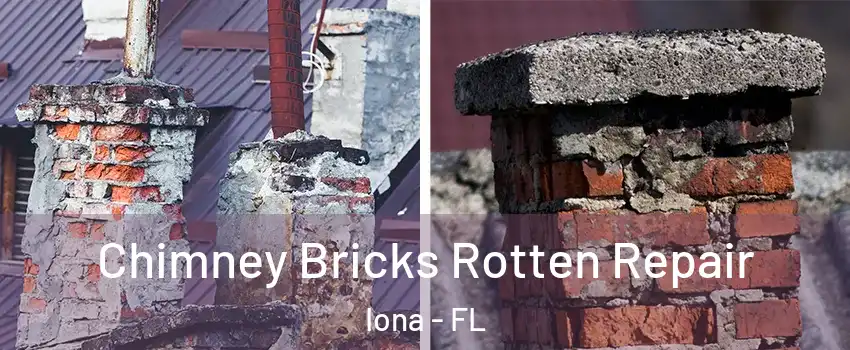  Chimney Bricks Rotten Repair Iona - FL