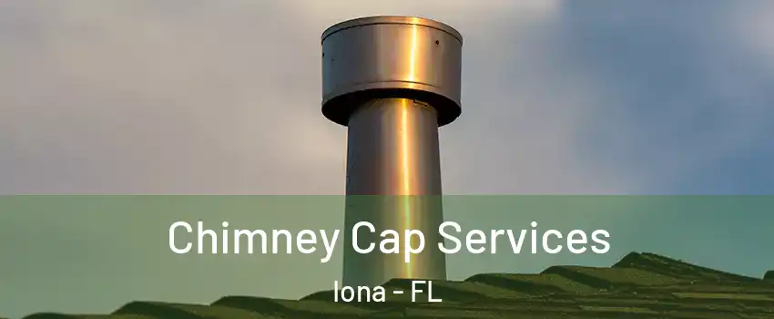  Chimney Cap Services Iona - FL
