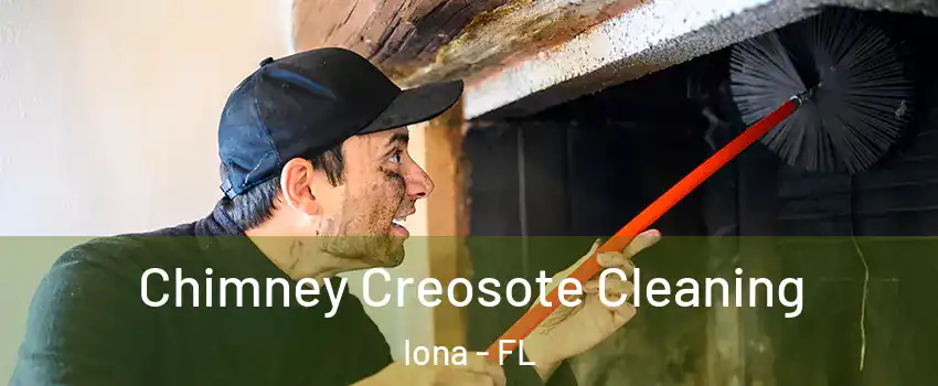 Chimney Creosote Cleaning Iona - FL