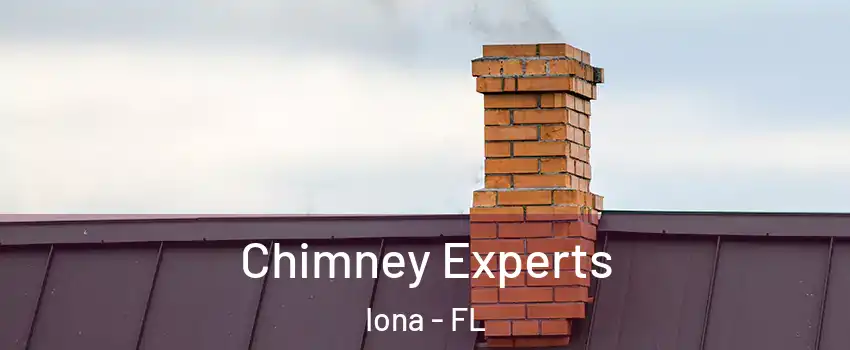  Chimney Experts Iona - FL