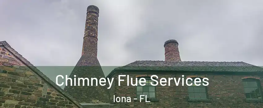  Chimney Flue Services Iona - FL