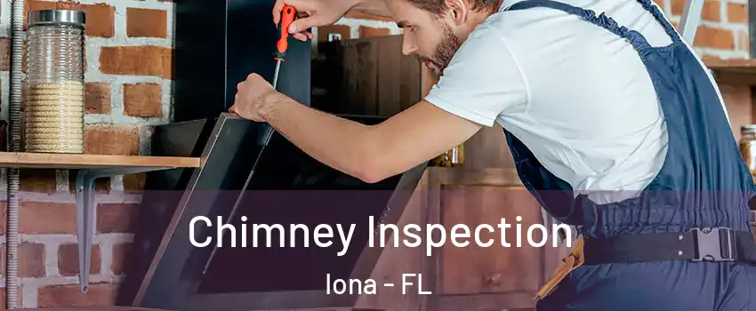  Chimney Inspection Iona - FL
