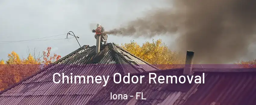  Chimney Odor Removal Iona - FL
