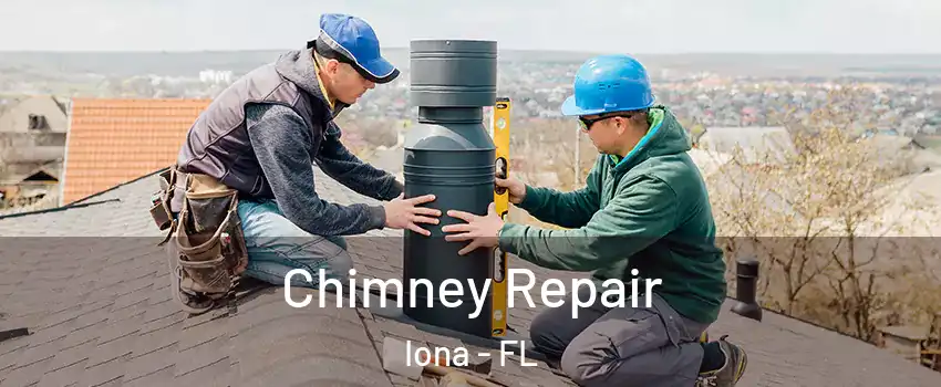  Chimney Repair Iona - FL