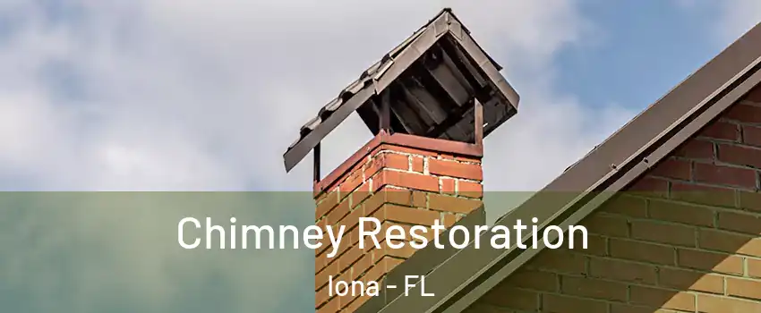 Chimney Restoration Iona - FL