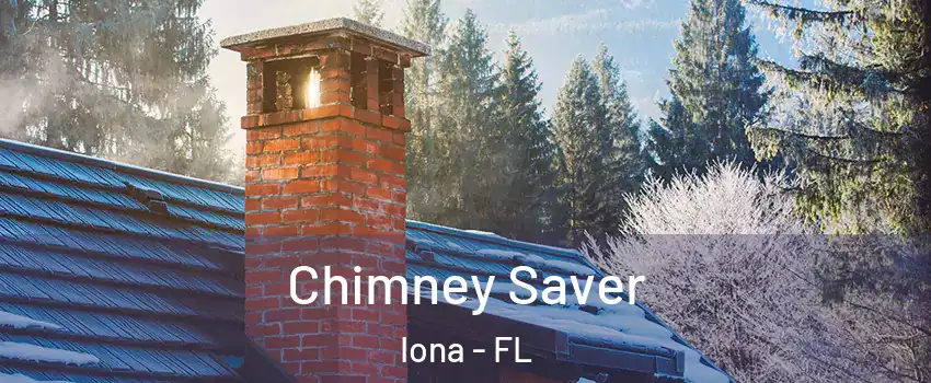  Chimney Saver Iona - FL