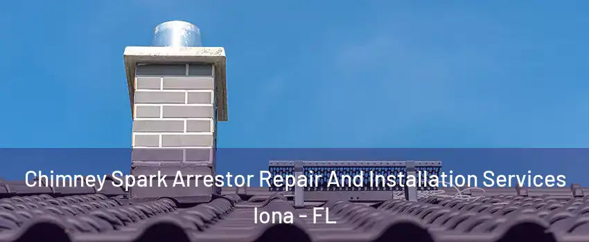  Chimney Spark Arrestor Repair And Installation Services Iona - FL