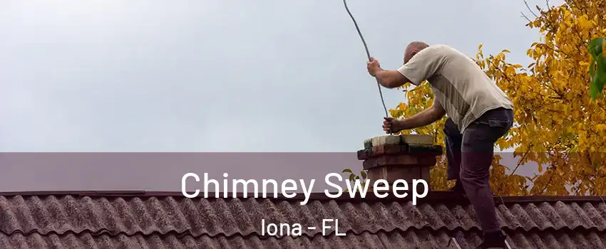  Chimney Sweep Iona - FL