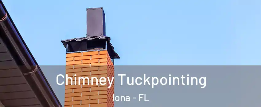  Chimney Tuckpointing Iona - FL
