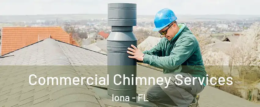  Commercial Chimney Services Iona - FL