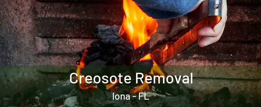 Creosote Removal Iona - FL