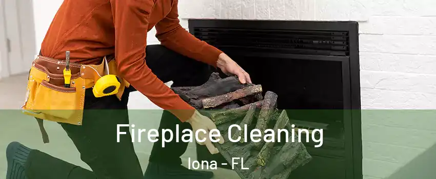  Fireplace Cleaning Iona - FL