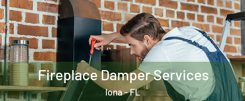  Fireplace Damper Services Iona - FL
