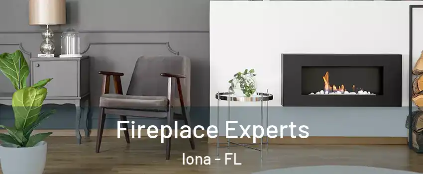 Fireplace Experts Iona - FL