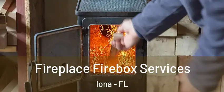  Fireplace Firebox Services Iona - FL