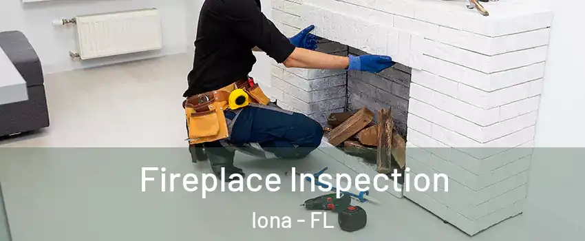  Fireplace Inspection Iona - FL