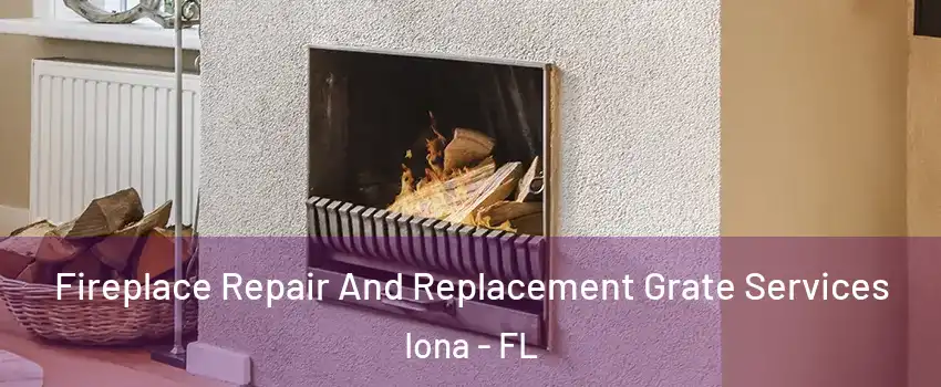  Fireplace Repair And Replacement Grate Services Iona - FL