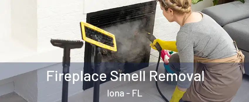  Fireplace Smell Removal Iona - FL