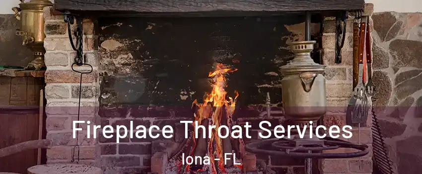  Fireplace Throat Services Iona - FL