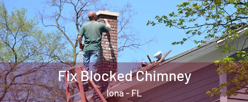  Fix Blocked Chimney Iona - FL