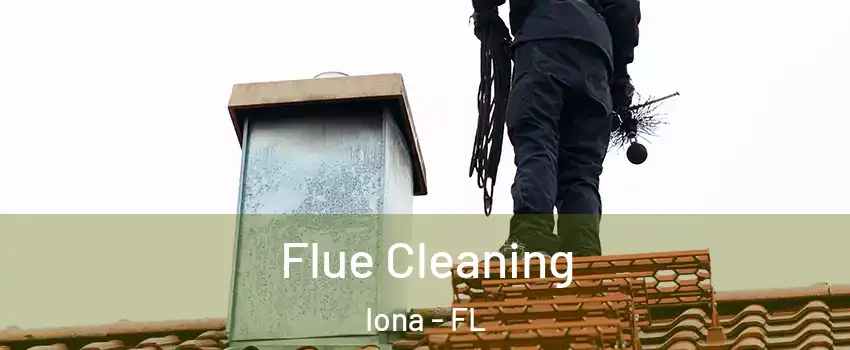  Flue Cleaning Iona - FL