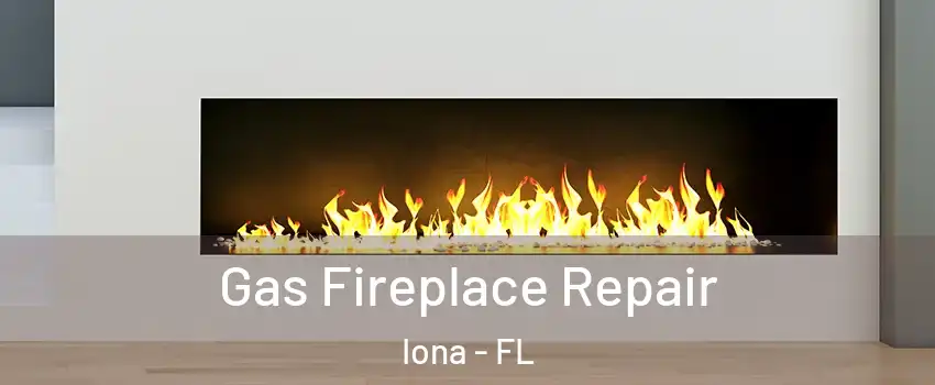  Gas Fireplace Repair Iona - FL
