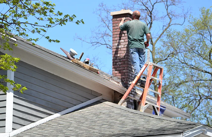 Chimney & Fireplace Inspections Services in Iona, FL