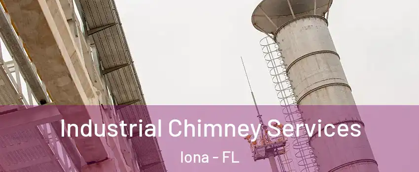  Industrial Chimney Services Iona - FL