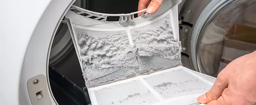Best Dryer Lint Removal Company in Iona, Florida
