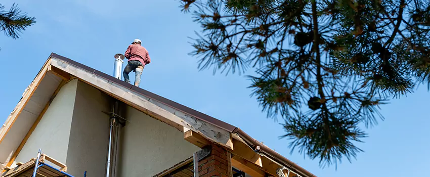 Birds Removal Contractors from Chimney in Iona, FL