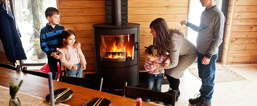 Jøtul Gas Fireplace Inspection Service in Iona, Florida