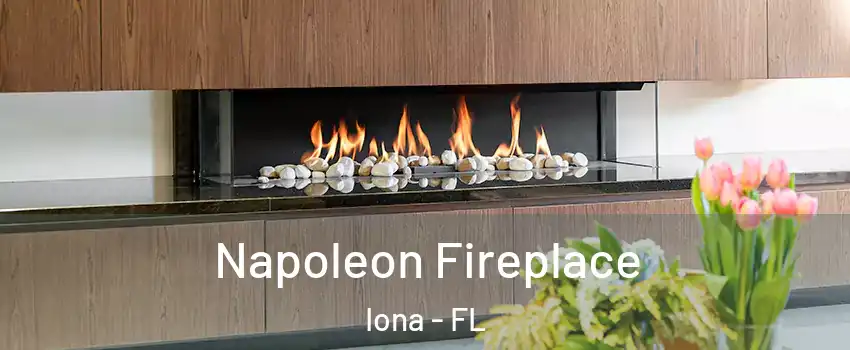  Napoleon Fireplace Iona - FL