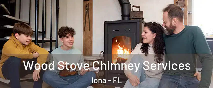  Wood Stove Chimney Services Iona - FL