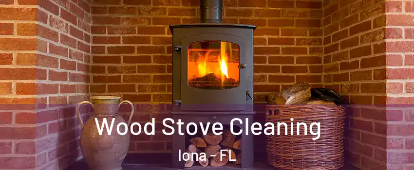  Wood Stove Cleaning Iona - FL
